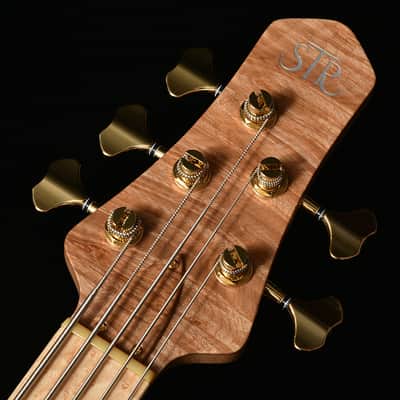STR guitars LS549 - Burl Maple image 6