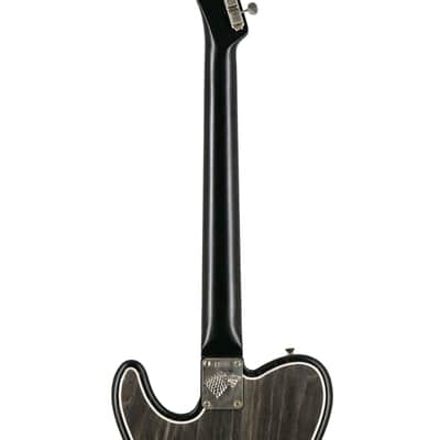 Fender Custom Shop Ron Thorn Masterbuilt, Game of Thrones House Stark, Telecaster, HSXX image 7