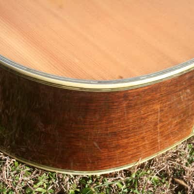 1975 Yairi YW-600 Dreadnought Guitar New Jacaranda Natural+Hard Case image 17