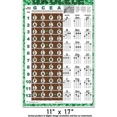 Beginner Ukulele Chords & Notes Poster GREEN for Soprano Concert Tenor Uke by A New Song Music Easy image 3