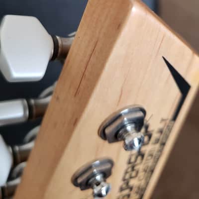 TTM Slayer Custom Guitar image 4