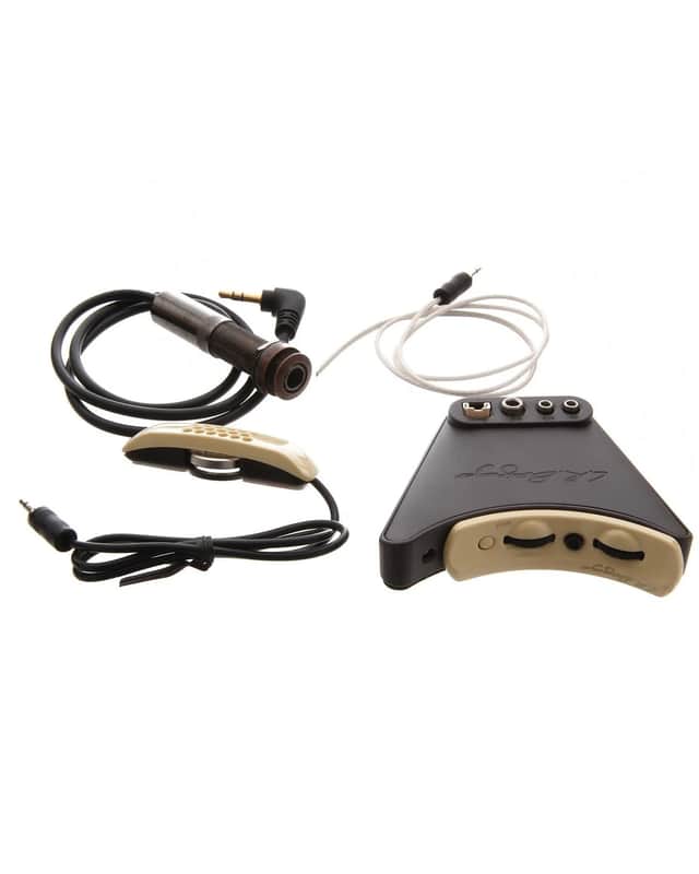 LR Baggs Anthem Tru-Mic System image 1