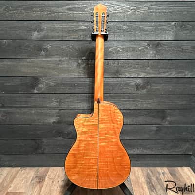 Cordoba Fusion 14 Maple Spruce Top Nylon String Acoustic-Electric Guitar image 16
