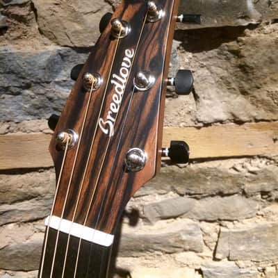Breedlove Concert Sunlight e image 11