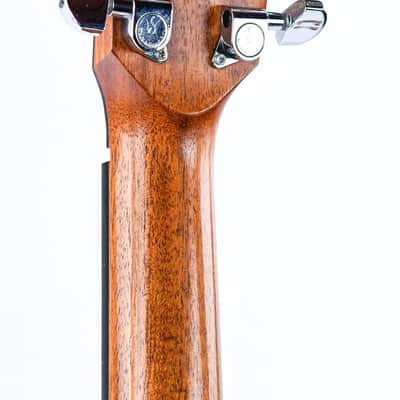 Lakewood M1 2001 image 6