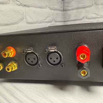 Immagine Amplifier on the Ptero Board Author's Balanced Class D - 4