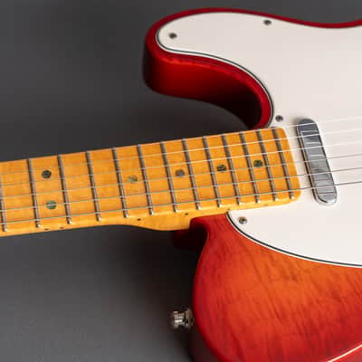 Fender Telecaster Custom Dlx 2013 image 14
