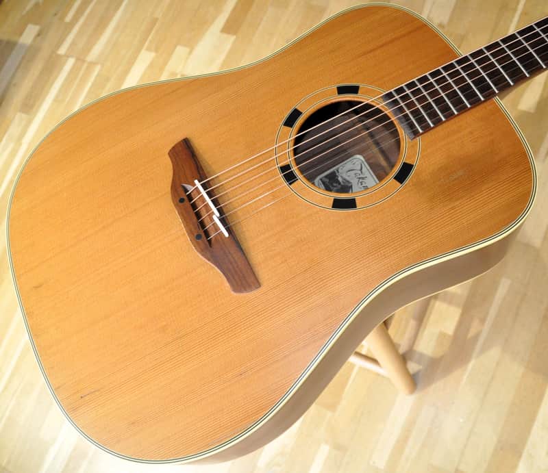 TAKAMINE N10 / Made In Japan / Acoustic Folk Deadnought Guitar / N-10 from 2001 image 1