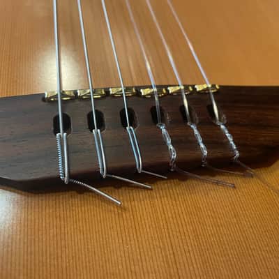 Godin Multiac ACS SA Cedar Nylon 2013 image 9