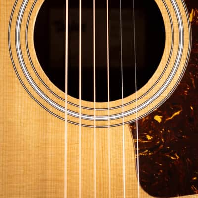 Taylor 210ce Dreadnought Acoustic/Electric Guitar with Gig Bag image 9
