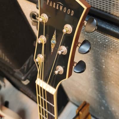 Parkwood PW-560 Electrified with Gigbag image 3