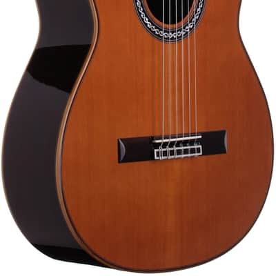 Cordoba C12 CD Classical Acoustic Guitar, with Case, Open Box (Very Good) image 5