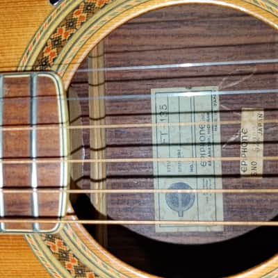 Epiphone FT-135 image 4