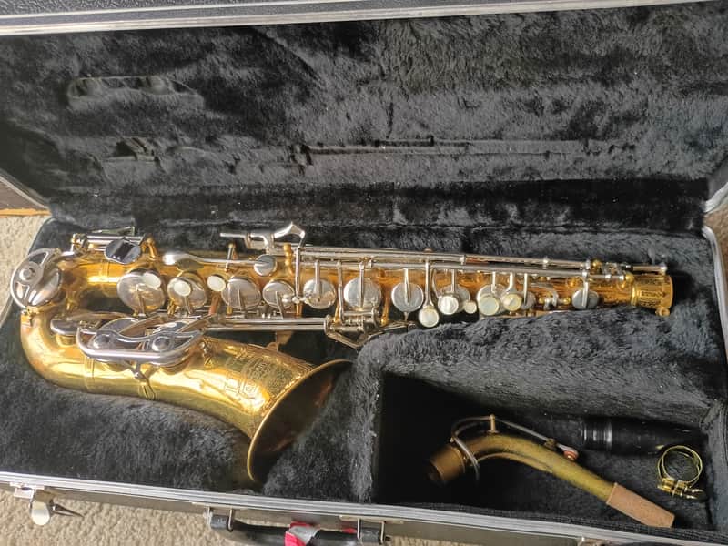 Selmer / Bundy Alto sax image 1