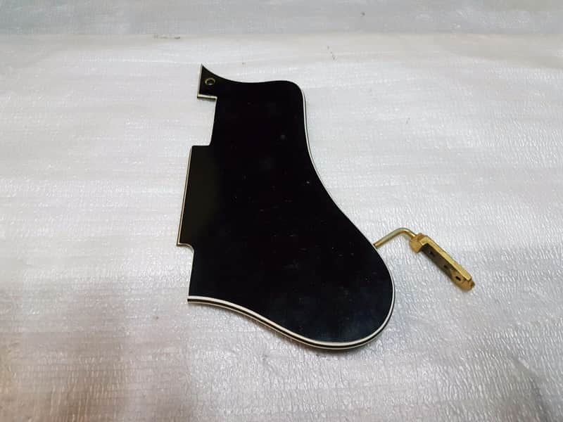 60's STANDEL 811 S PICKGUARD & BRACKET image 1