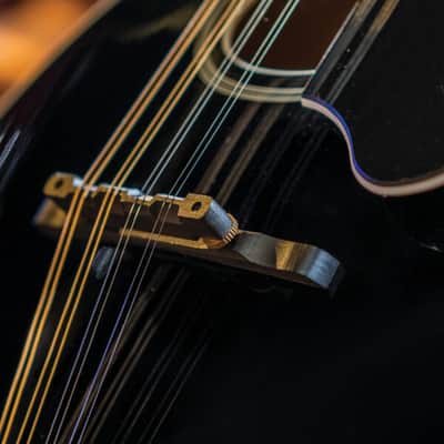 Washburn M1SDLB Bluegrass Series A-Style Mandolin. New with Full Warranty! image 9