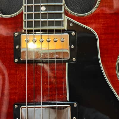 Guitare EASTMAN T484 Thinline Laminate Red Classic image 5
