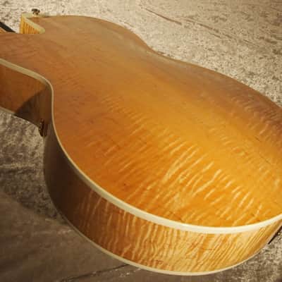 Mark Campellone [USED] Standard Series 17 Natural [GTK017] image 5