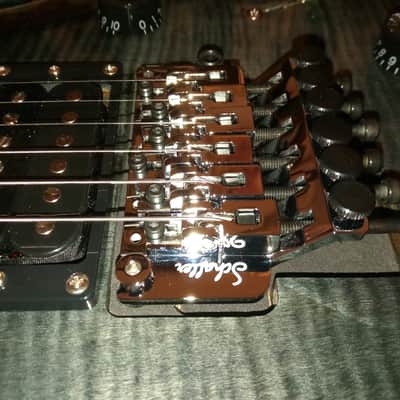 PRS SE Floyd Custom 24 - includes Schaller Lockmeister Upgrade image 4