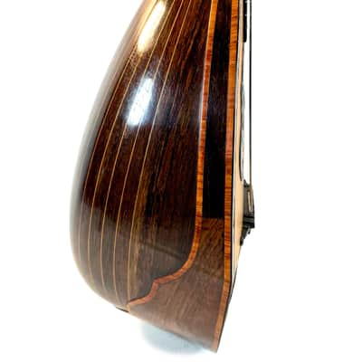 Umberto Ceccherini Mandola / Octave Mandolin (Giovanni Palladino Label) 1896 image 9