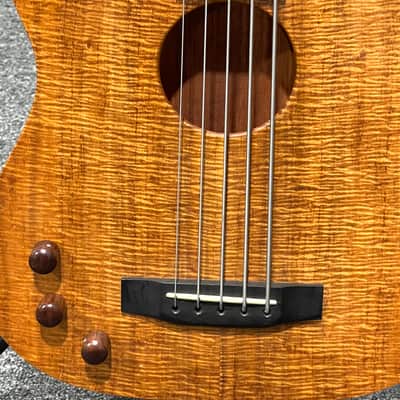 Carvin AC50L Custom USA Left Handed Fretless Acoustic Electric 5-string Bass image 6