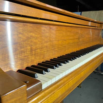 Steinway Model D Concert Grand 1986 Signed image 1