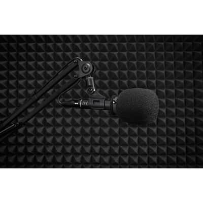 Beyer-Dynamic M 88 Dynamic Moving Coil Microphone (Hypercardioid), 730092 image 2