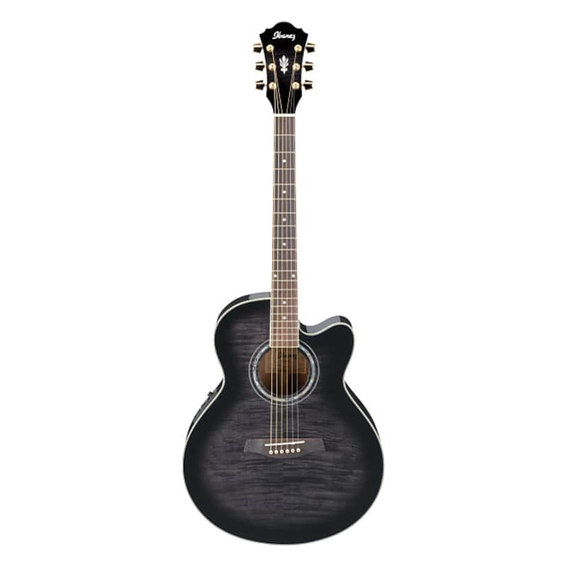 Ibanez AEL20E / AEL40SEジャンク ケース付 Ibanez AEL20E TKS