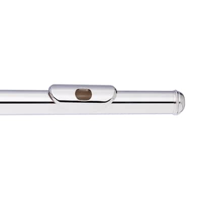 Stagg WS-FL111 C Flute Closed Holes Offset G Split E w/Soft Case, Cleaning Swab, Cloth & Gloves image 6