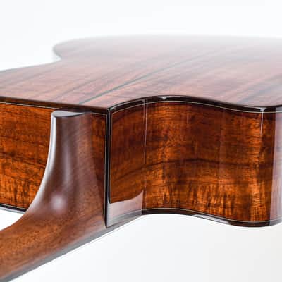 BSG GA45CF Fan Fret Recent image 9