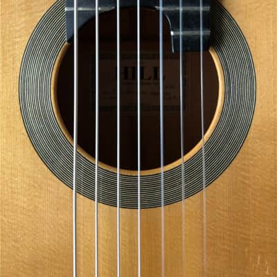 Kenny Hill 7 String Classical Cutaway Crossover Seven String image 5