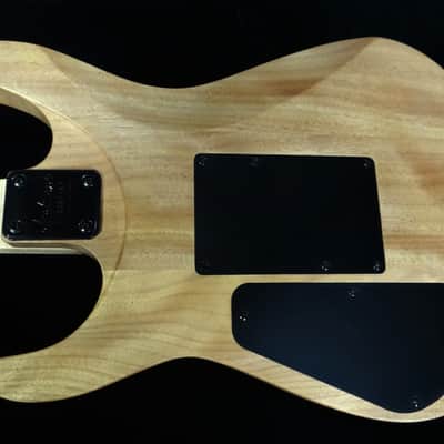 Jackson Dinky Xl 2000 - Natural image 18