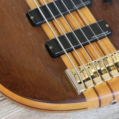 Awesome! Bill Moll Custom 6-String Electric Bass Guitar + Coffin Case image 9