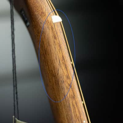 Washburn Comfort G55CE Koa image 15