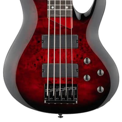 ESP LTD B-205DX Bass in Red Burst B-Stock imagen 4