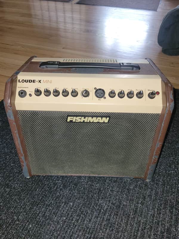 Fishman Loudbox Mini  LBX-500 2010s - Brown image 1