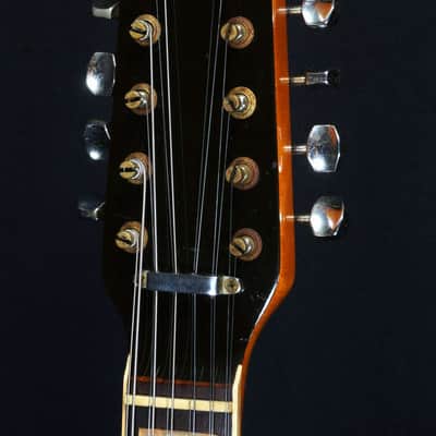 FENDER 1967 Coronado XII Sunburst [162369] (04/13) image 15