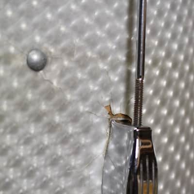 1960's Camco Tuxedo in 3D Moire 14x20 14x14 8x12 5x14 image 11