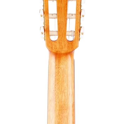 Cordoba C5 Spruce Top Acoustic Nylon String Guitar image 7