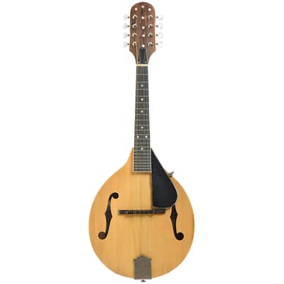 Jordan L. Buck A-Style Kit Mandolin (2024) image 13
