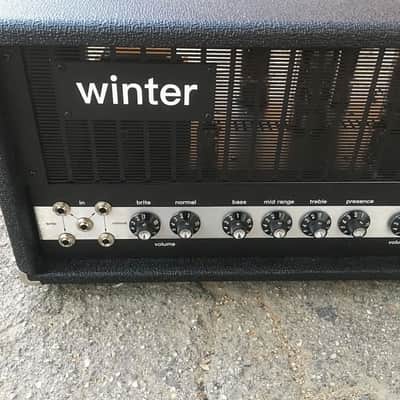 Winter Amps Sunn Model T Clone Handwired version image 7