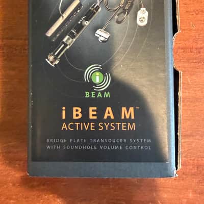 LR Baggs iBeam Active Acoustic Guitar Pickup System 2010s - Black image 1