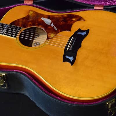 Gibson Dove Custom 1973 - natural image 3