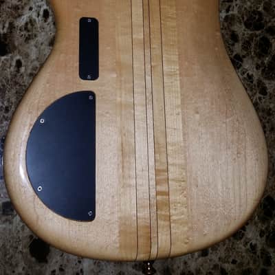 Alembic Essence 5 1993 - Gorgeous Flame Maple image 3