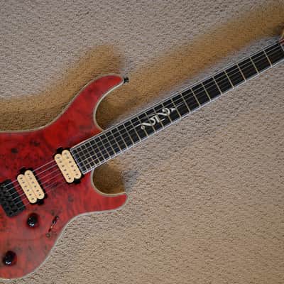 Mayones Regius 25th Anniversary image 1