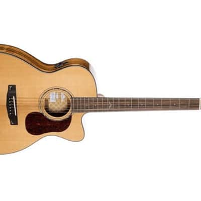 Cort Gold Series Gold-OC6 Bocote Acoustic-Electric Guitar w/ Solid Sitka Spruce Top, Bocote Back & Sides, Fishman Flex Electronics, Natural Glossy w/ Case, See Video, Mint Condition image 8