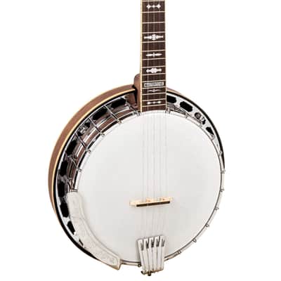 Gold Tone Mastertone&reg OB-150EF: 24-Fret Orange Blossom Banjo with Case image 11