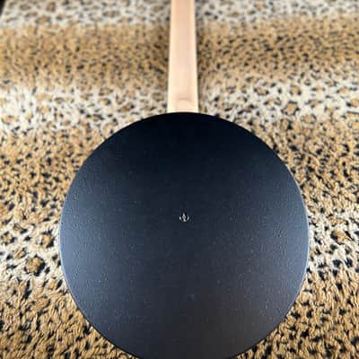 Gold Tone AC-6+ 6-String Acoustic-Electric Banjo Natural 2025 image 18