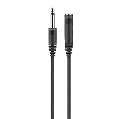 Mint Liquid Audio Sennheiser XSW-D Instrument Base Set Wireless System w/ 4-Pack Blucoil AA Batteries Polishing Cloth image 5