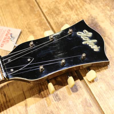 Hofner Club 50 1964 - Sunburst Bild 4